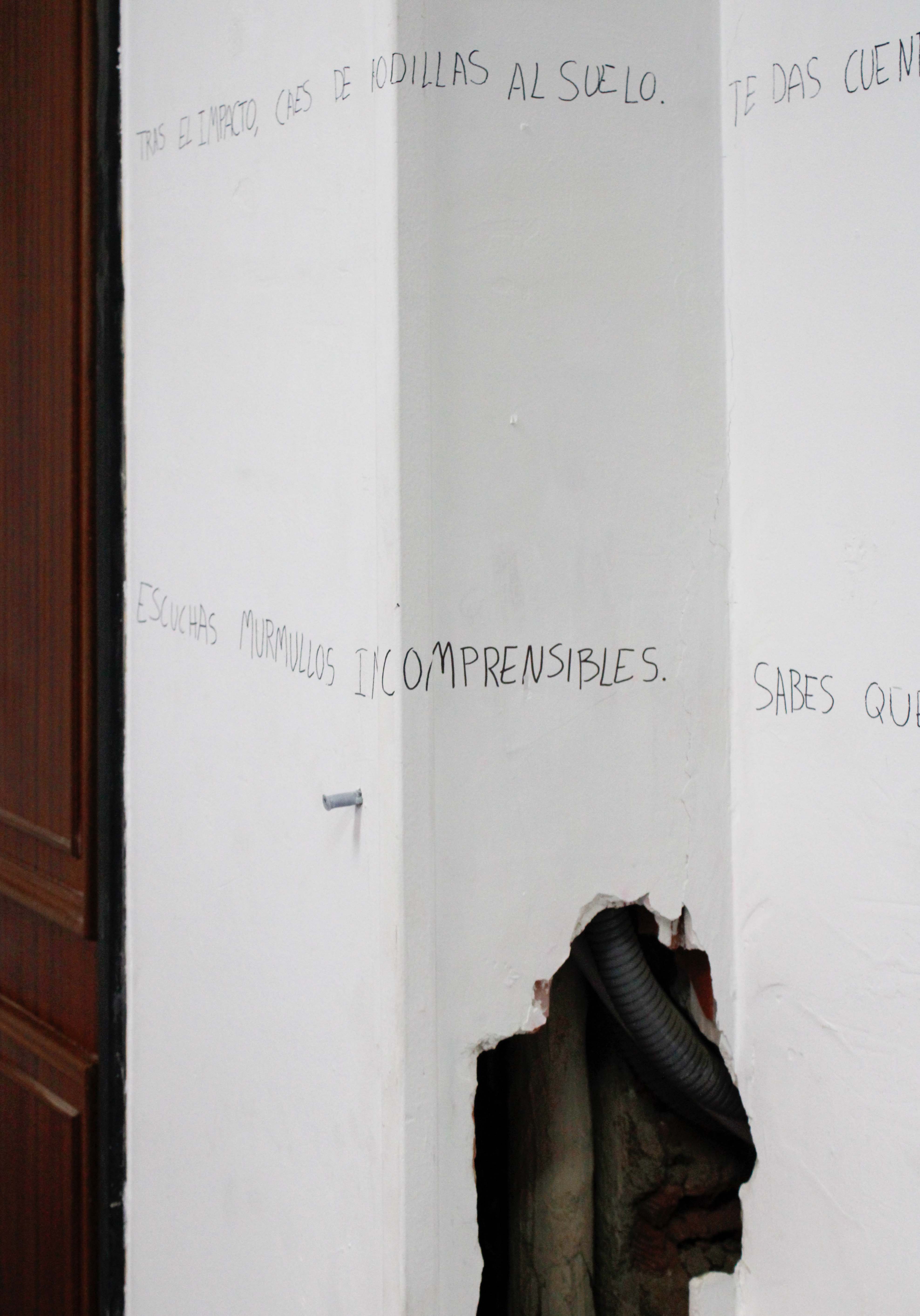 Imagen 10