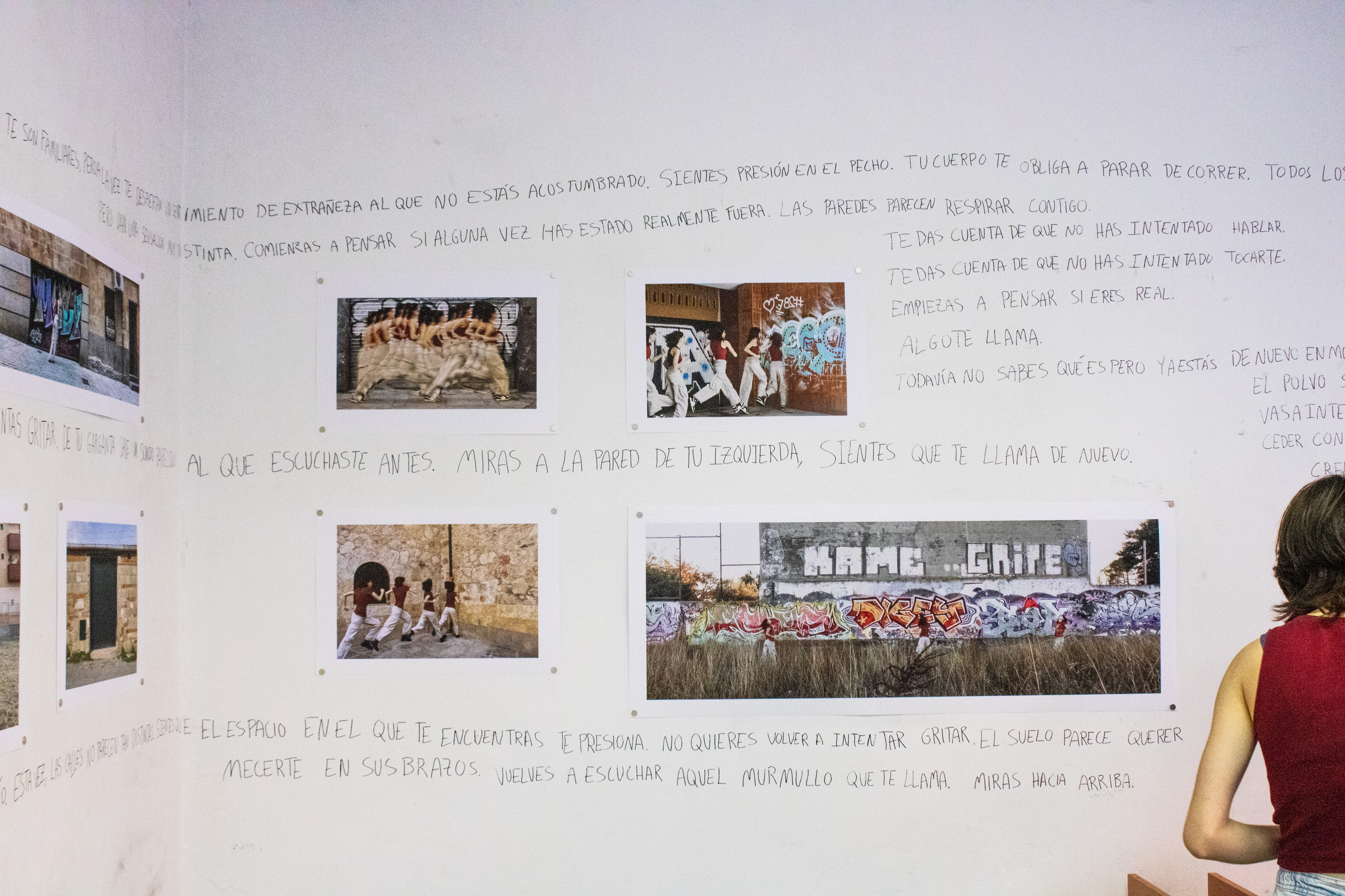 Imagen 8